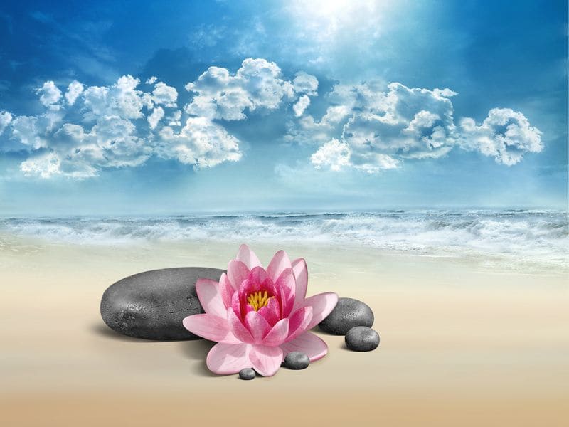 Le Lotus est comme un symbole de la santé alternative et de bien-être.