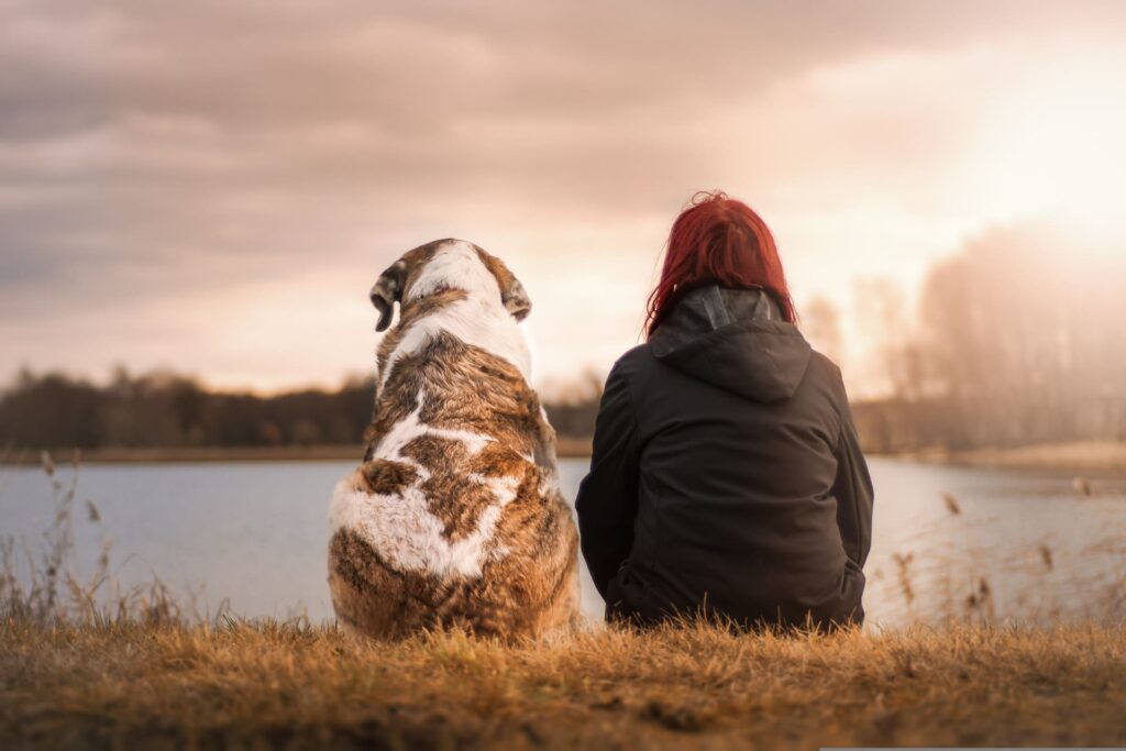 Une femme qui médite avec son chien devant un paysage sur la question "comment obtenir ce que je veux ?".