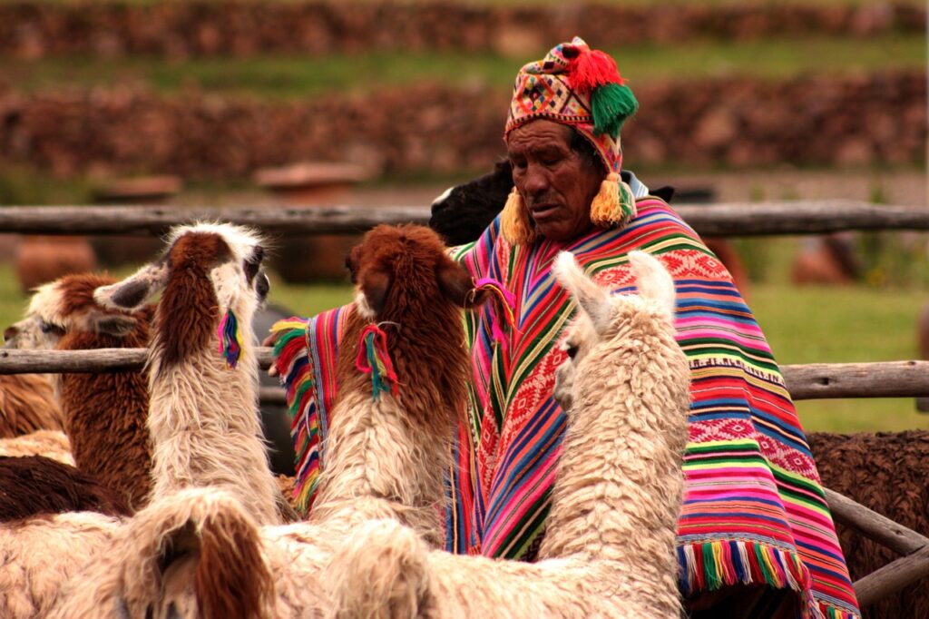 Un homme péruvien avec des lamas représentant un humain avec une grande sagesse.