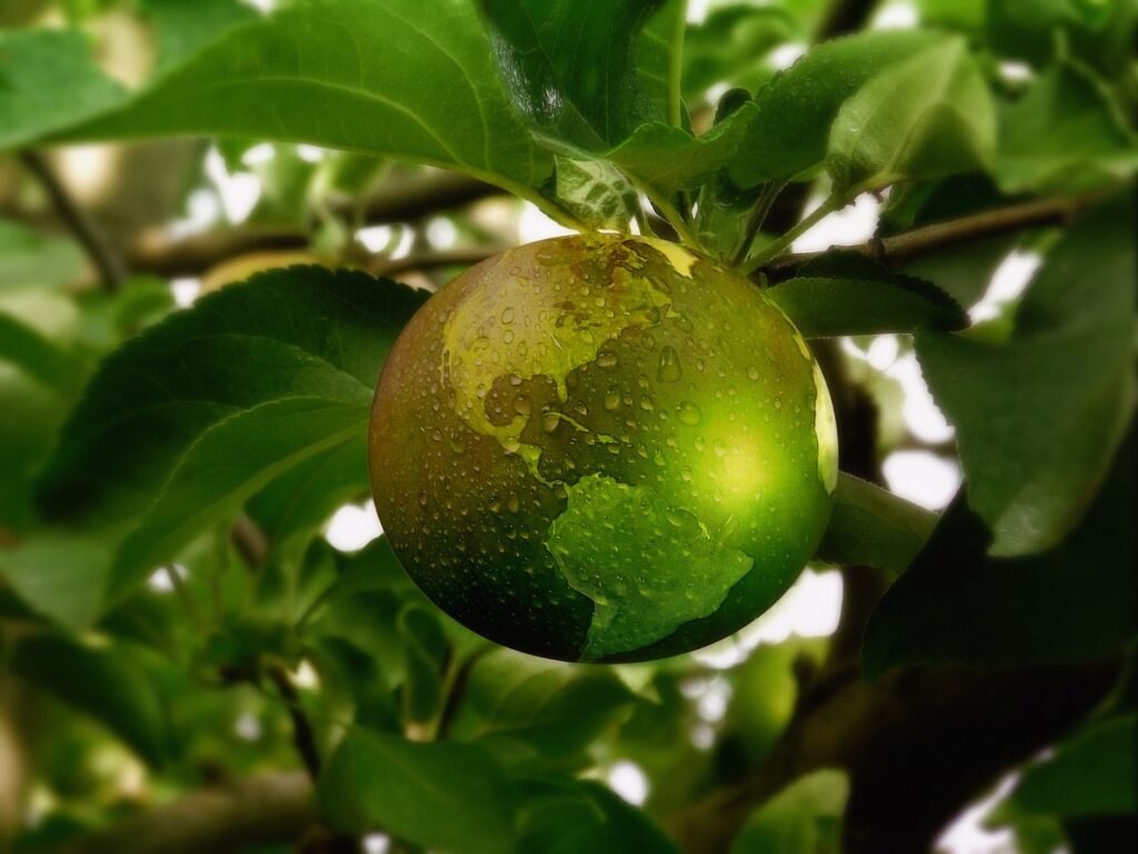 Une planète comme une pomme sur un arbre: et si l'humanité était aussi insignifiante ?