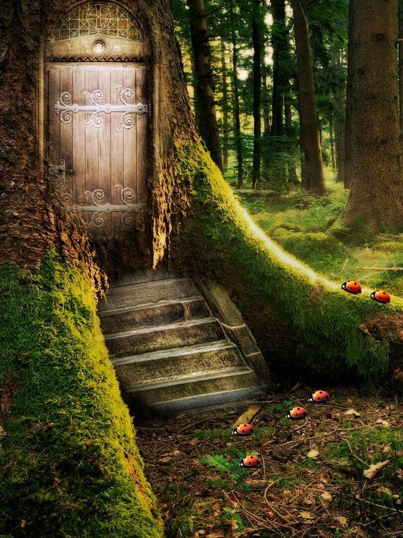 un chemin d'évolution avec la nature